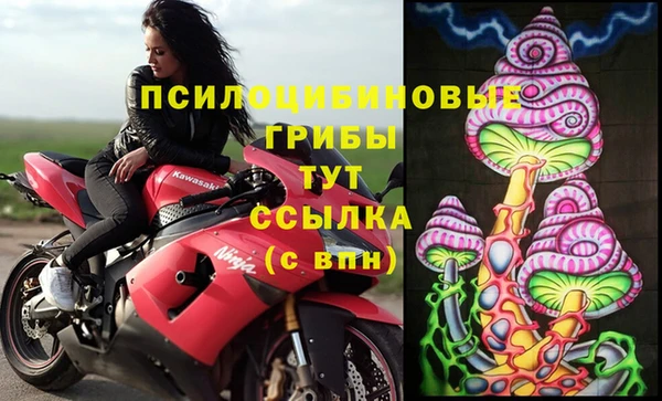 мяу мяу мука Верея