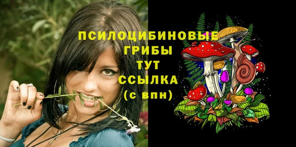 мяу мяу мука Верея